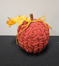 Load image into Gallery viewer, Hand Knitting Pumpkins With Latrice Thompson