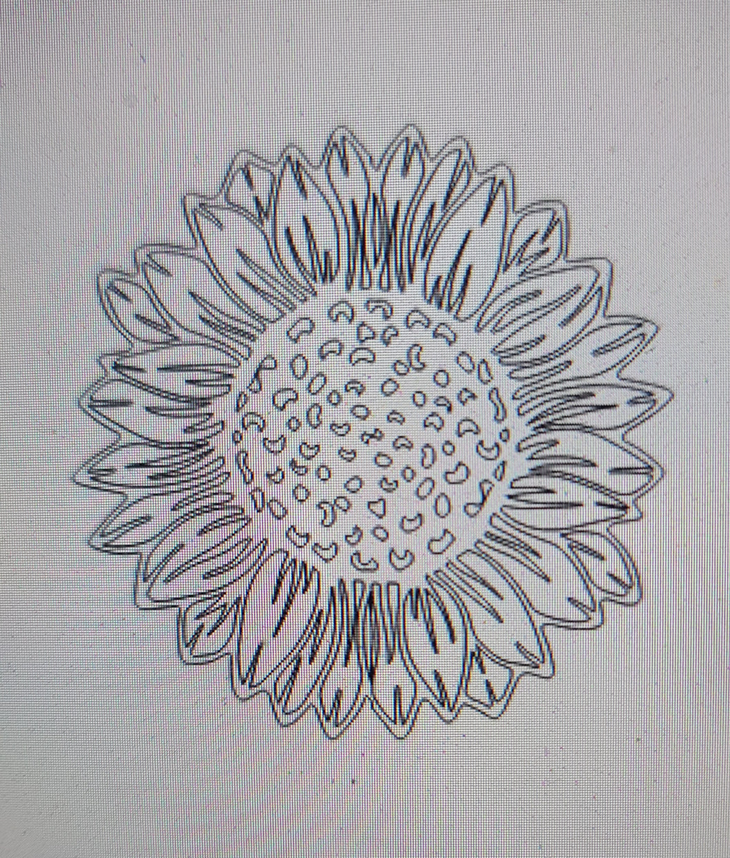 Large Sunflower